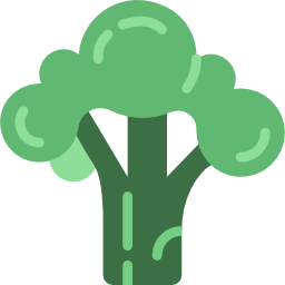 Broccoli icon