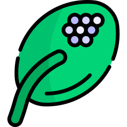 Eggs icon