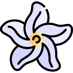 Sampaguita icon