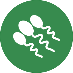 sperma icon