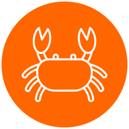 crabe Icône