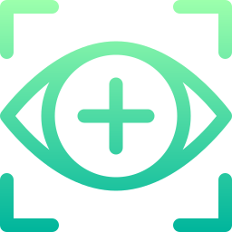 biometrische erkennung icon