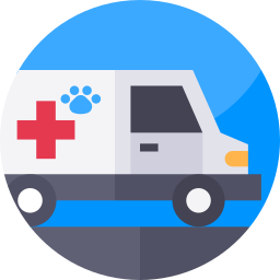 Ambulance icon