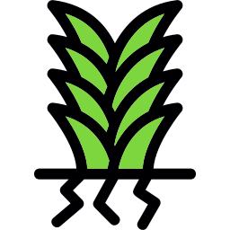 yucca icon