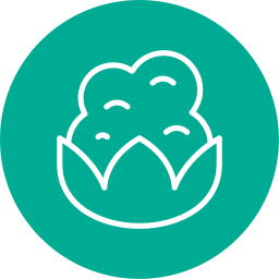 Cauliflower icon