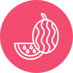 Watermelon icon