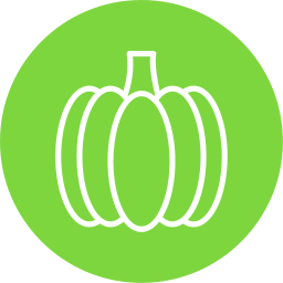 Pumpkin icon