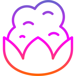 Cauliflower icon