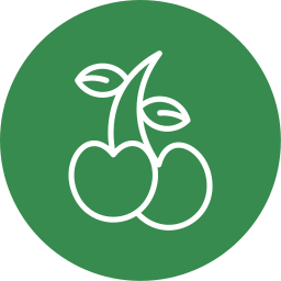 Cherry icon