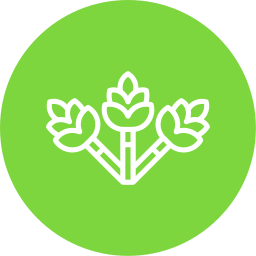 Asparagus icon