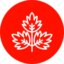 Parsley icon