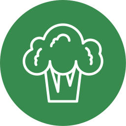 Broccoli icon