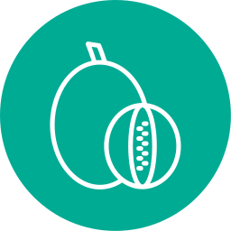 Rockmelon icon