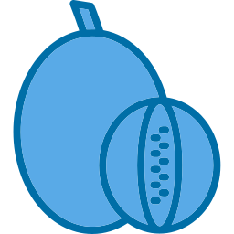 Rockmelon icon