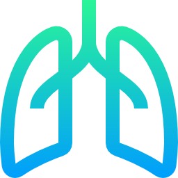 Lungs icon