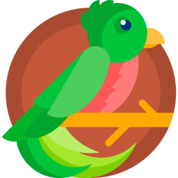 Quetzal icon