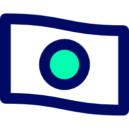 Flag icon