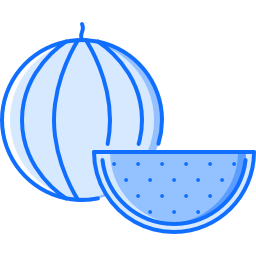 Watermelon icon