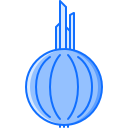 Onion icon