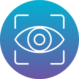 Vision icon