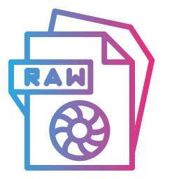 Raw file icon