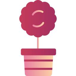 myrtus icon