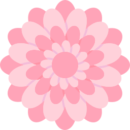 chrysantheme icon