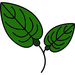 Anthurium icon