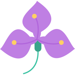 Iris icon