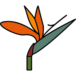 Bird of paradise icon