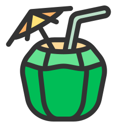 Coconut drink icon