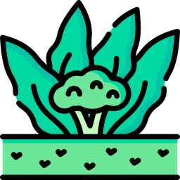 Broccoli icon