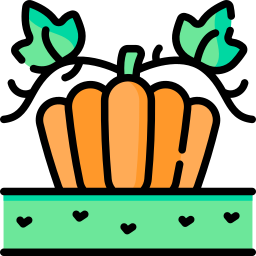 Pumpkin icon