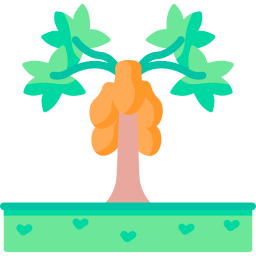 Papaya icon