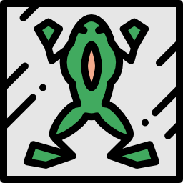 frosch icon