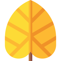 Leaf icon