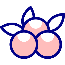 Berries icon