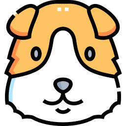 Guinea pig icon