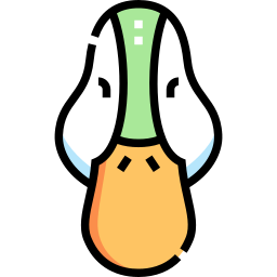 Duck icon