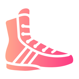 boxschuh icon