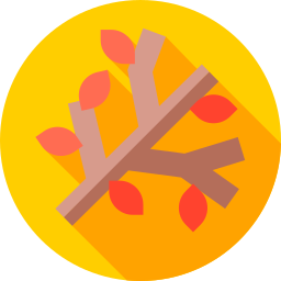 Branch icon