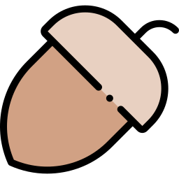 Acorn icon