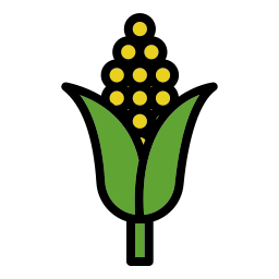 Corn icon