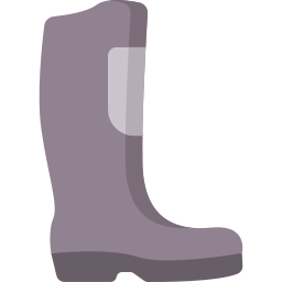 Boots icon