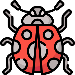 Ladybug icon