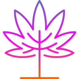 Leaf icon