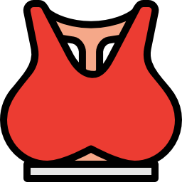 Bra icon