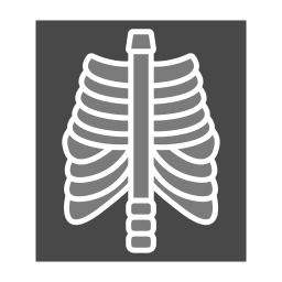 Рентгеновский снимок иконка