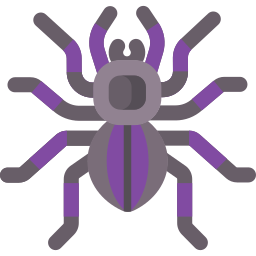 spinne icon