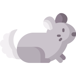 chinchilla icon